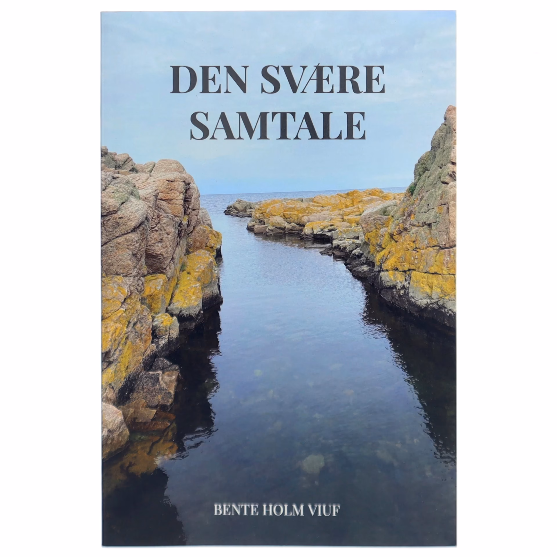 Hvad er den nødvendige samtale?