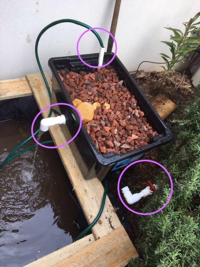 What to fill a bog filter with?