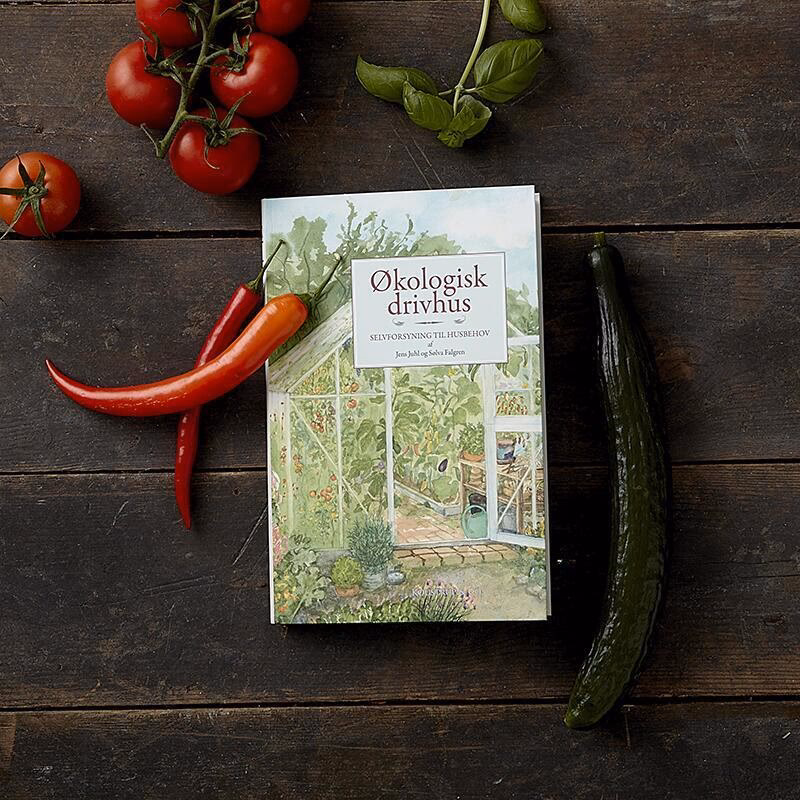 Hvornår skal man begynde at plante i drivhus?