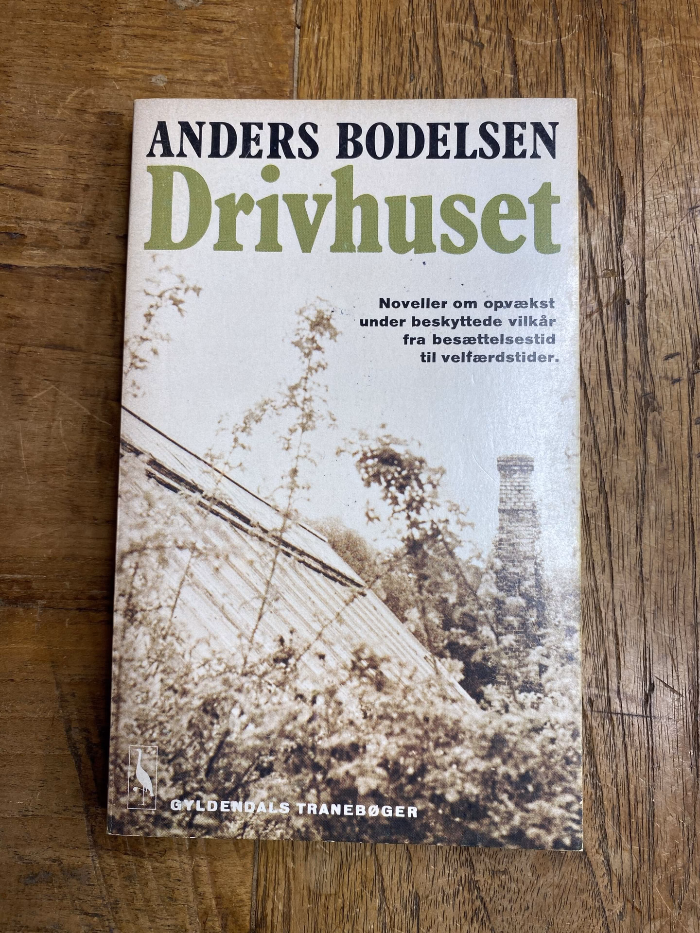 Hvad handler novellen drivhuset om?