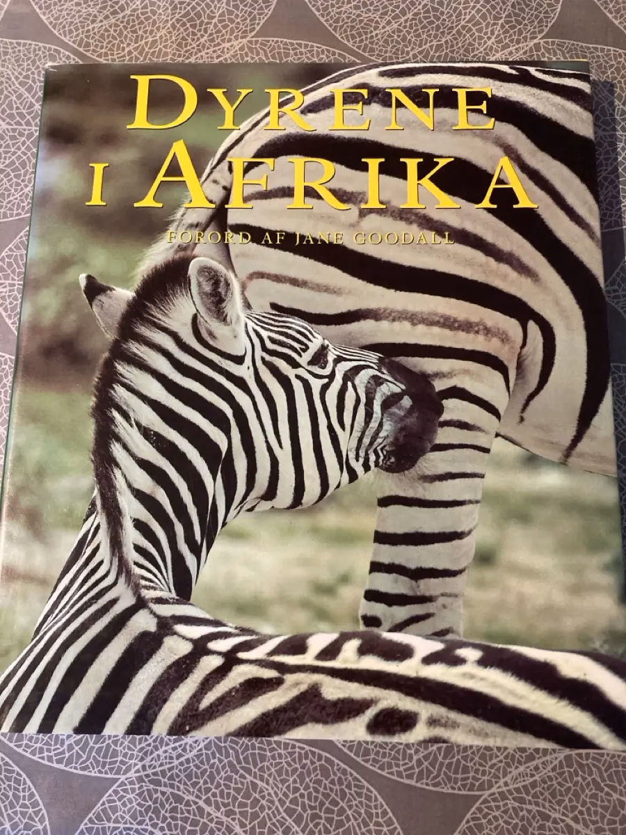 Hvilke dyr er der i Afrika?