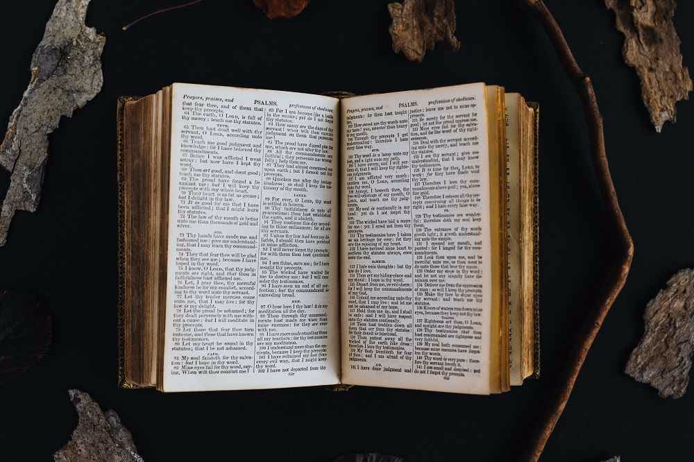 Hvad handler Esters bog om?