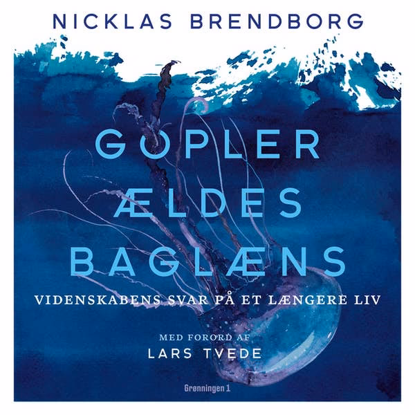 Kan man selv øge sit stofskifte?