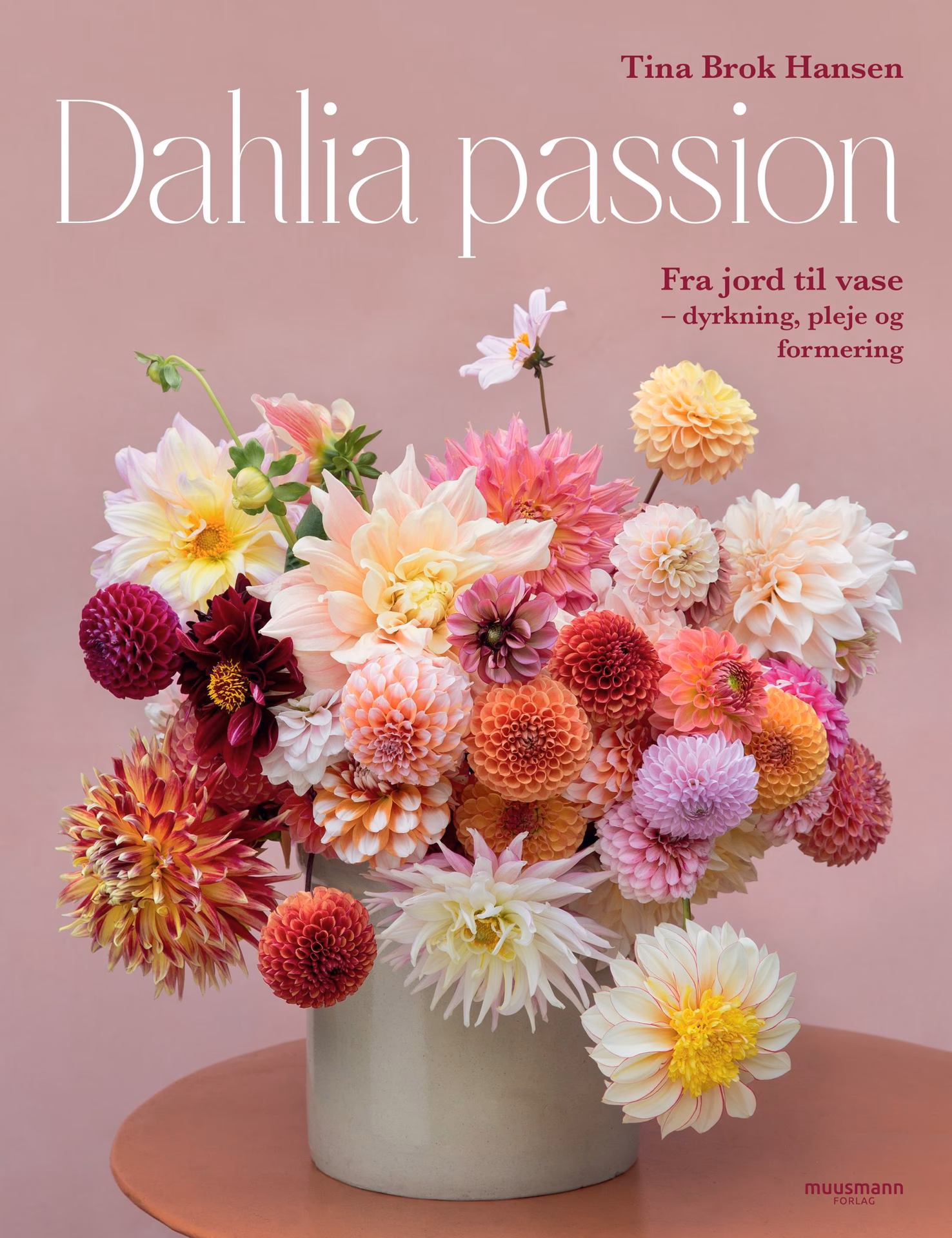 Hvad er forskellen på dahlia og georginer?