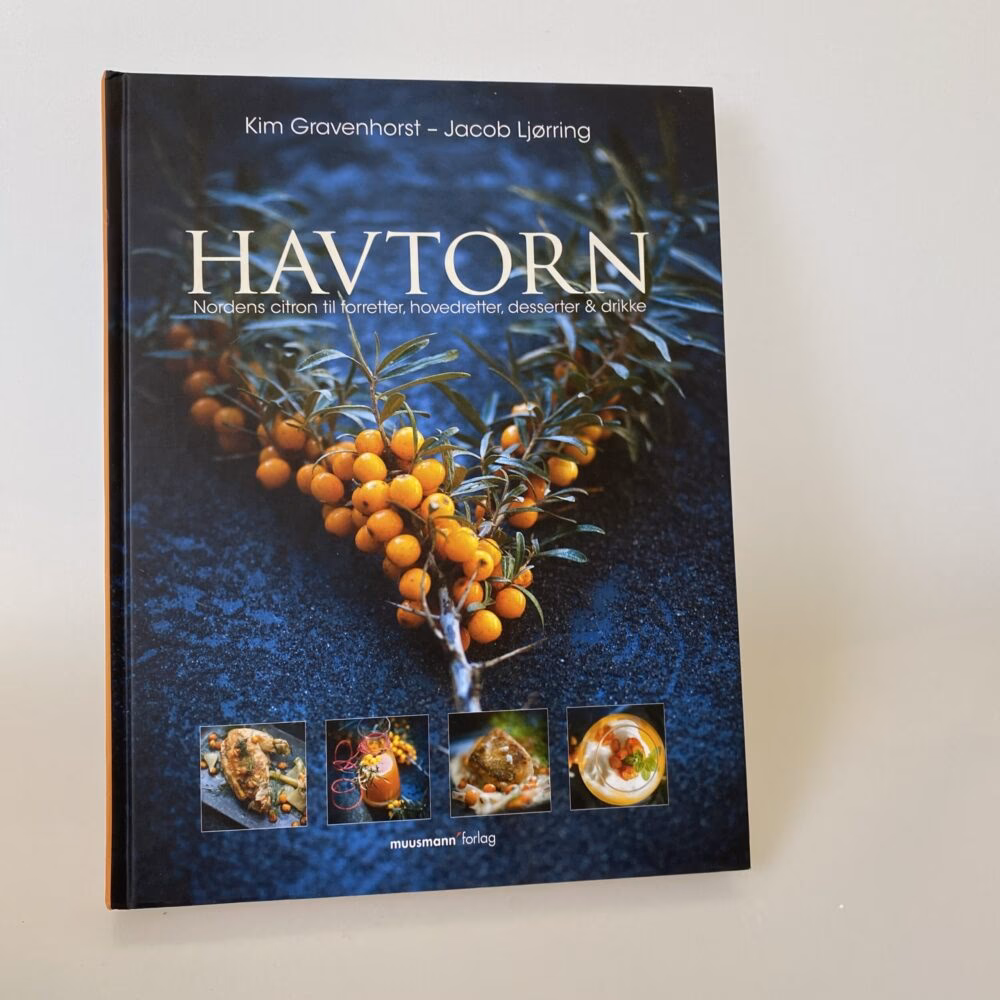 Hvad gør havtorn ved kroppen?