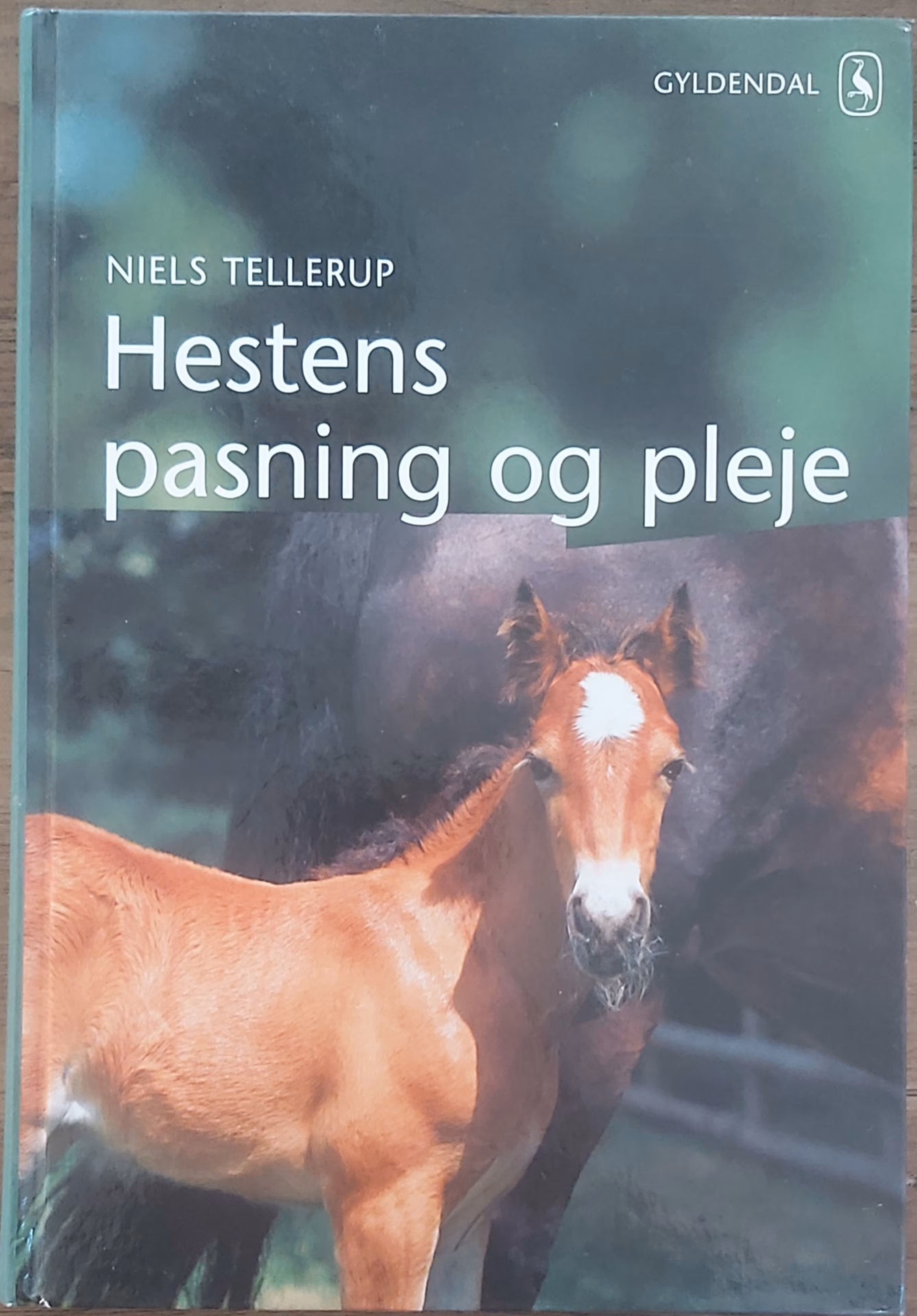 Hvad er hestens hove lavet af?