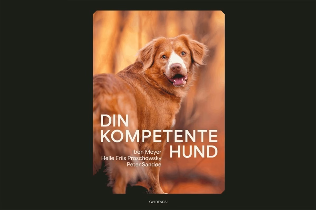 Hvad hedder Hella Joofs hund?