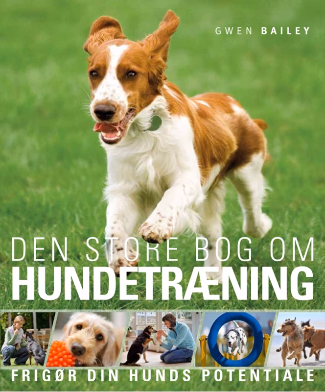 Er der moms på hundetræning?