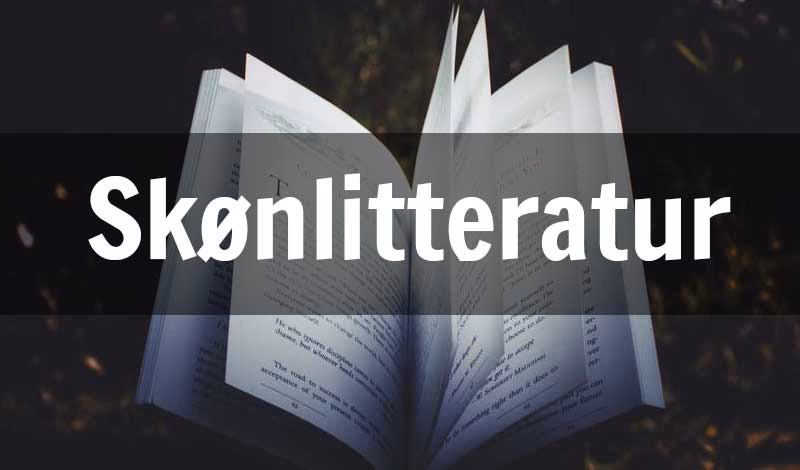 Hvad er en skønlitteratur bog?