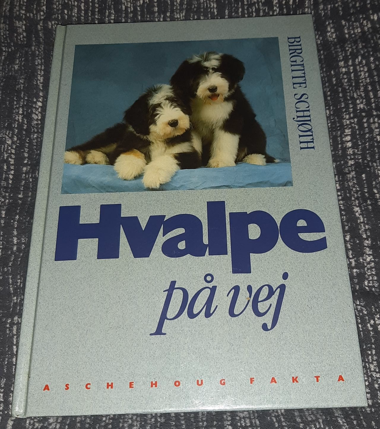 Hvor mange gange må en hund få hvalpe?