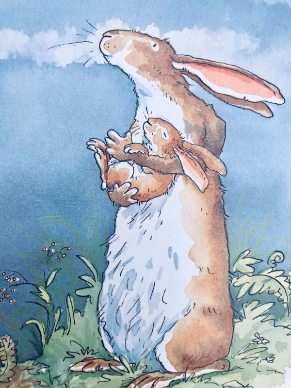 Hvor højt tror du jeg elsker dig papbog?