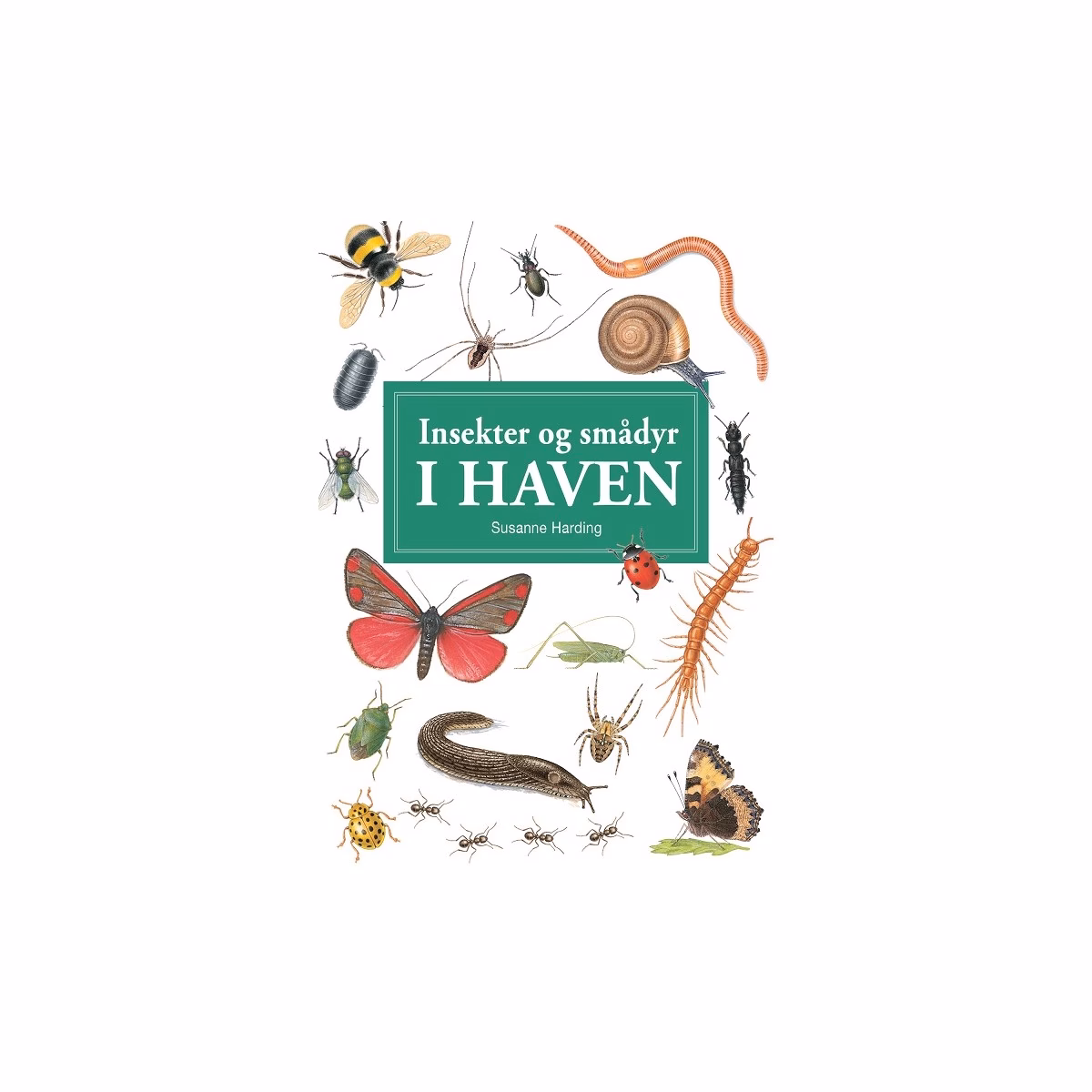 Hvordan holder man insekter væk?