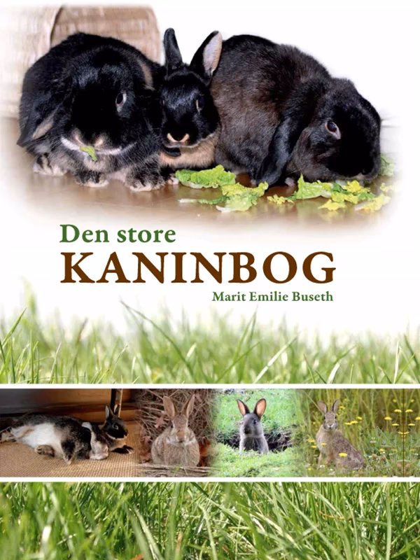 Hvad skal en kanin bruge i sit bur?