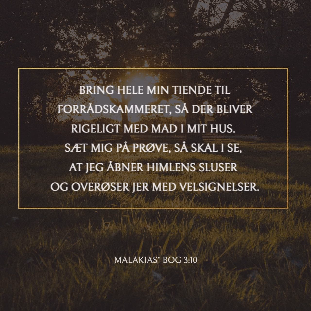 Hvad betyder malakias?