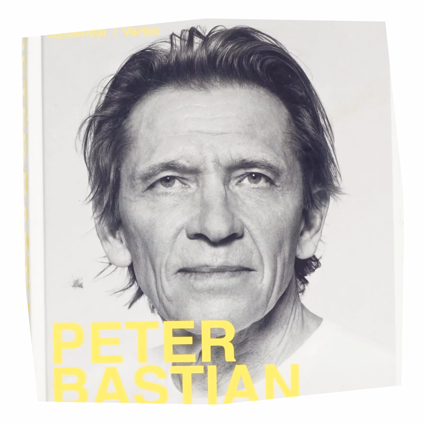 Hvad er lønnen som mesterlære?