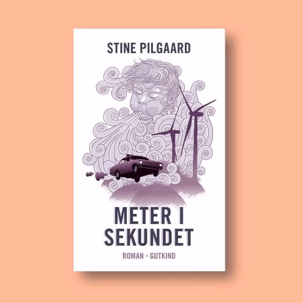 Hvad handler bogen Meter i sekundet om?