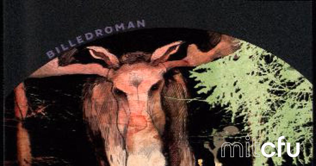 Hvad handler Møgungen om?