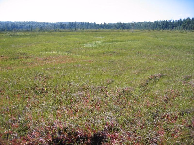 What is the name of the large slum area in New York?