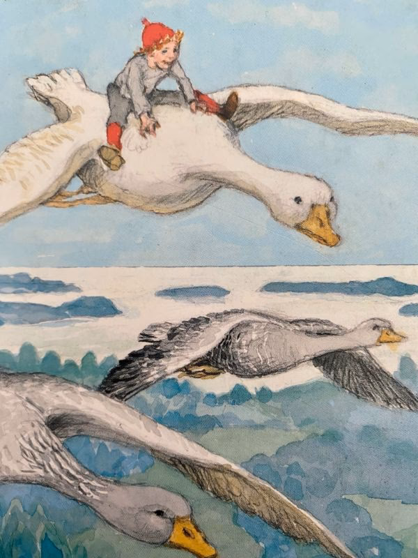 Hvem fløj på en gås?