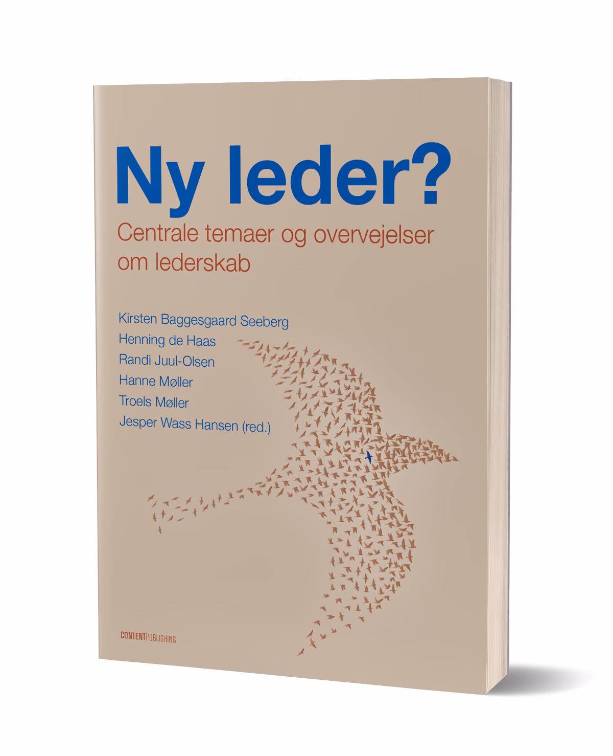 Hvordan starter man som ny leder?