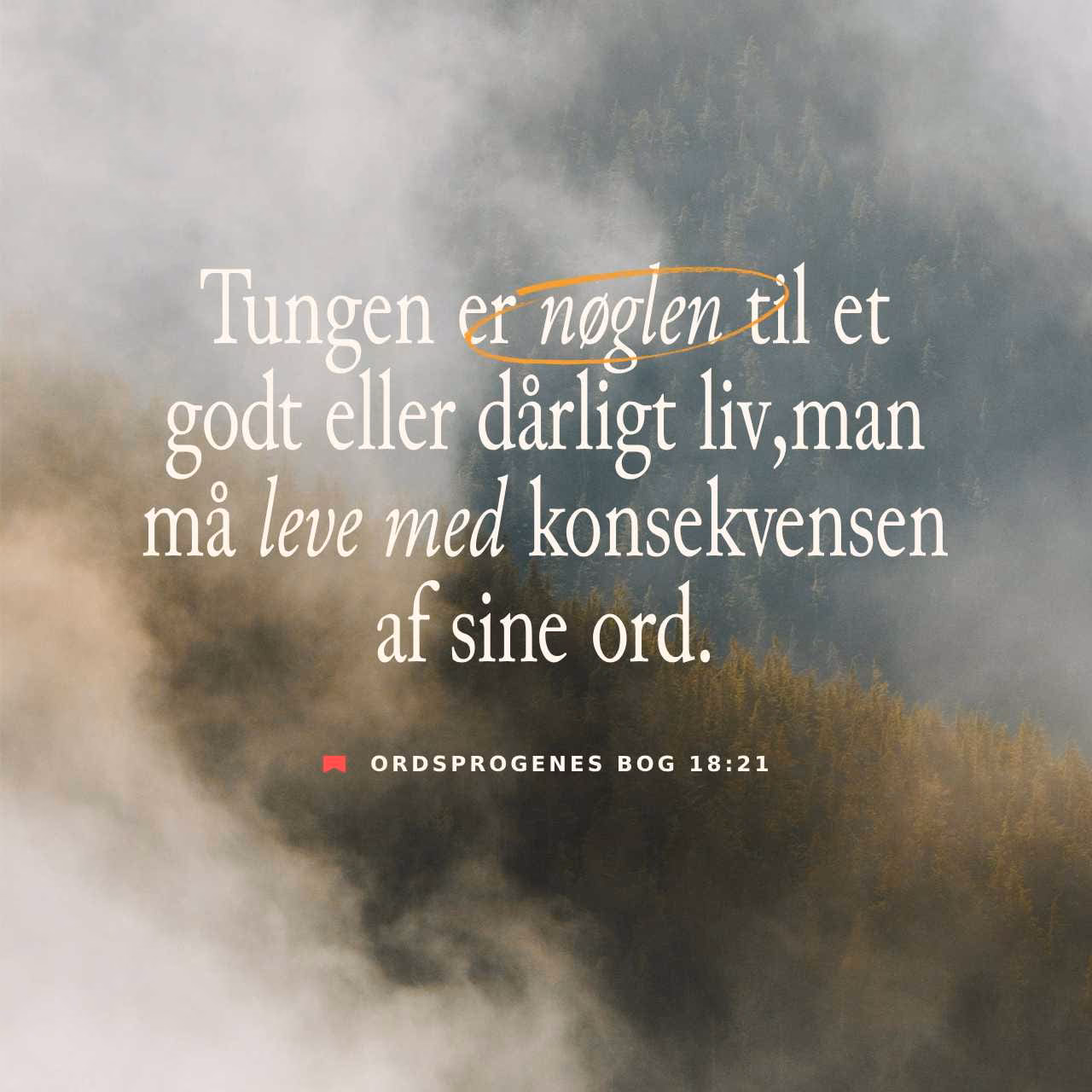 Hvad handler ordsprogenes bog om?