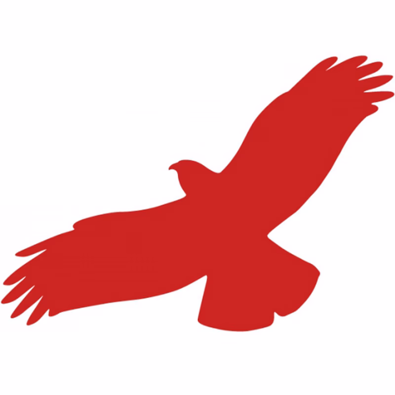 Hvad lever rovfugle af?