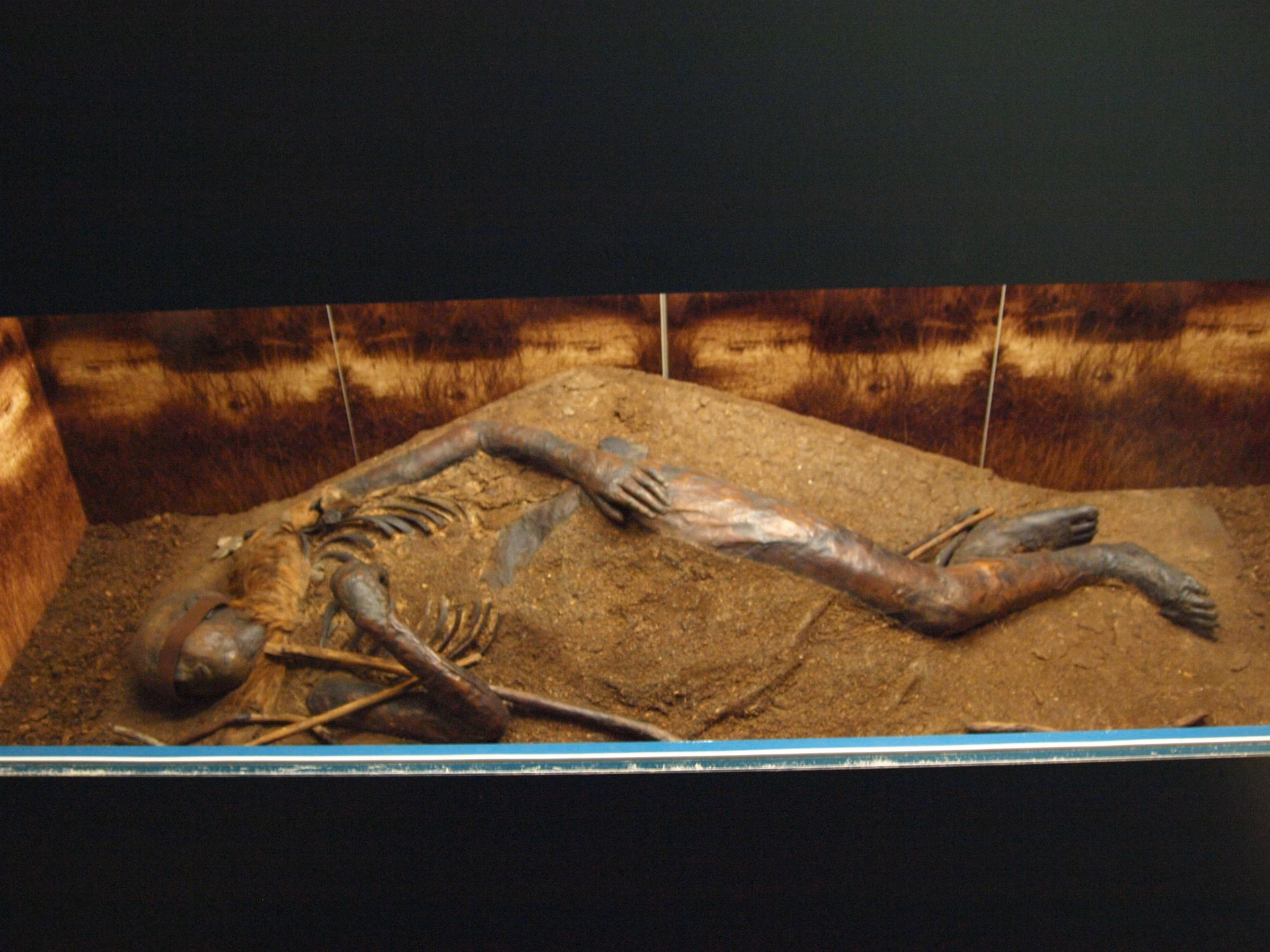 What is the meaning of Bogland by Seamus Heaney?