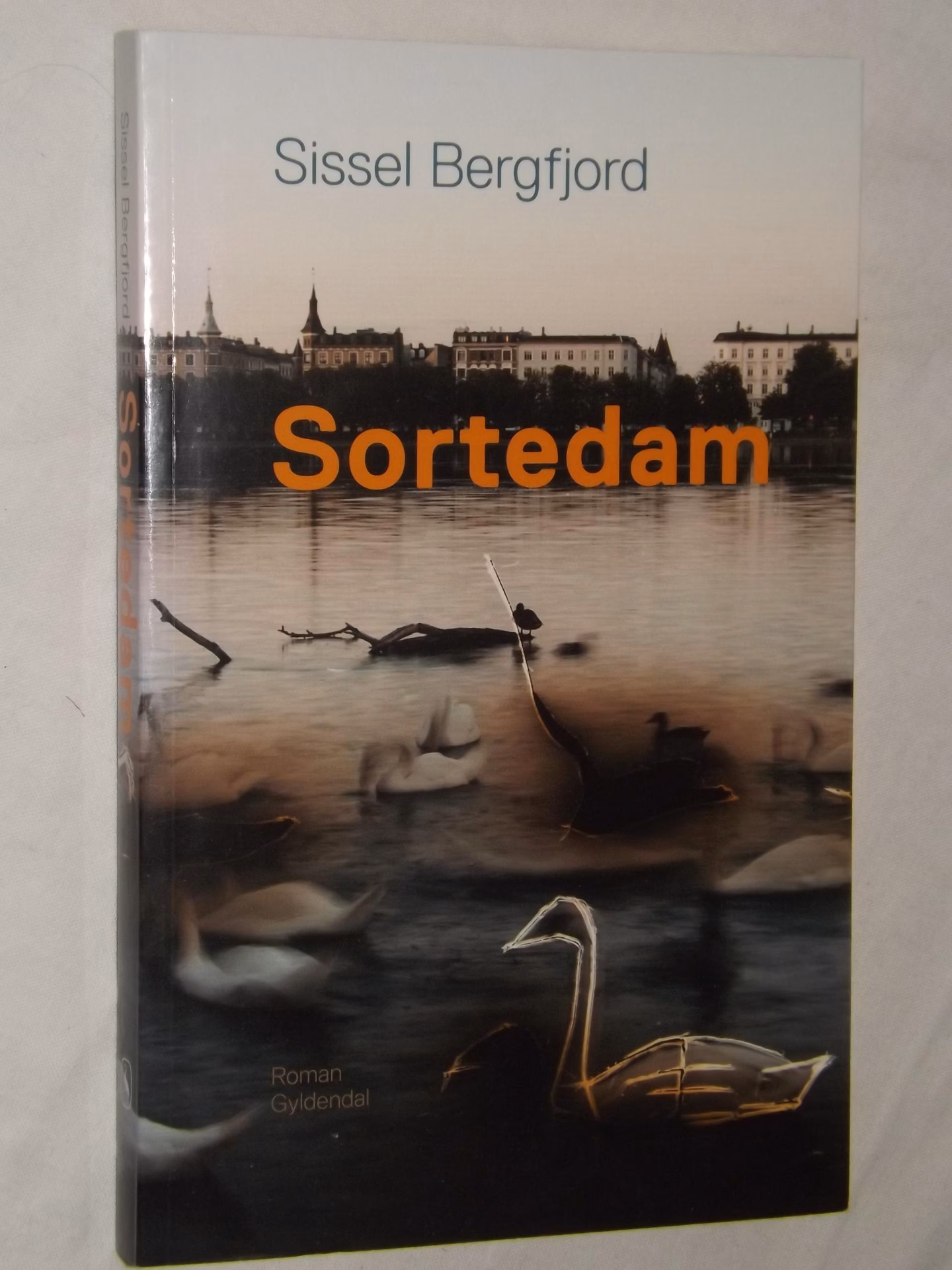 Hvad handler sortedam om?