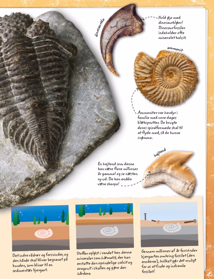 Hvad er mineraler sten?