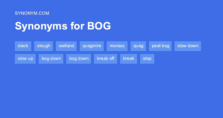 Hvad er en synonym på dansk?
