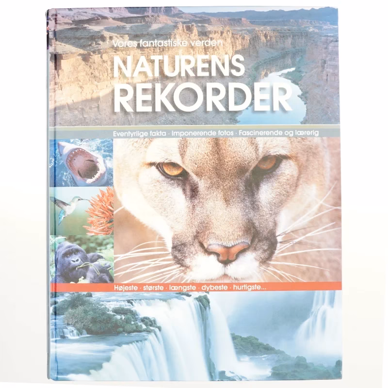 Hvad handler novellen Terra om?