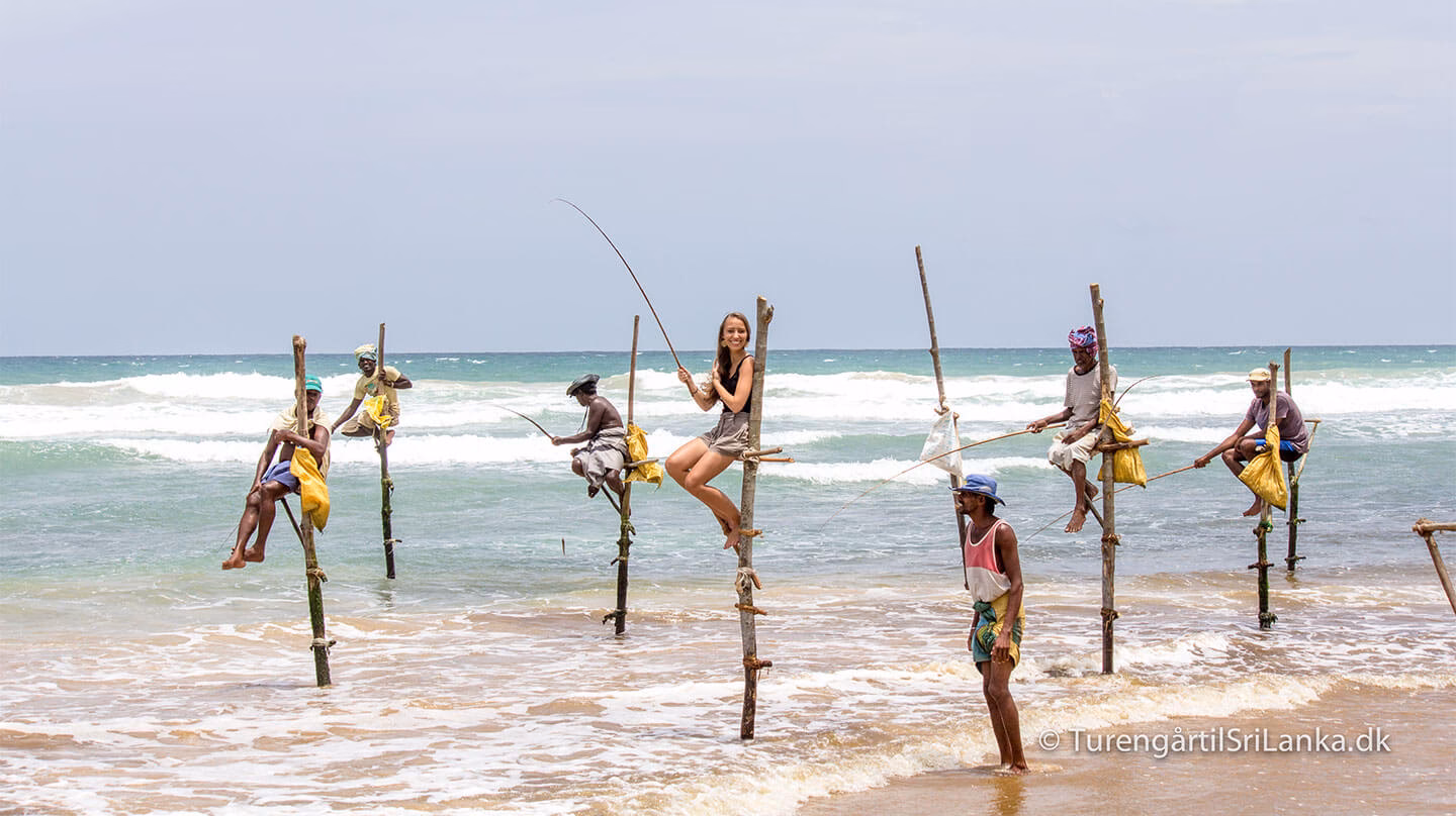 Hvorfor rejse til Sri Lanka?
