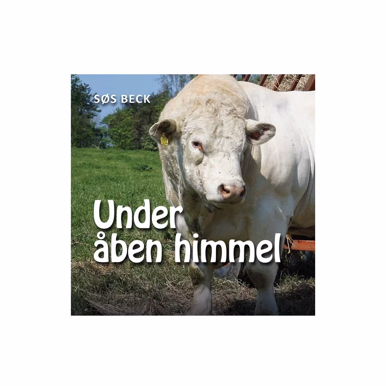 Hvem har skrevet Under en anden himmel?