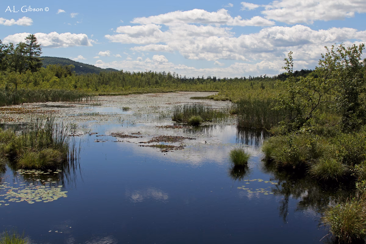 What does upstate mean in jail?