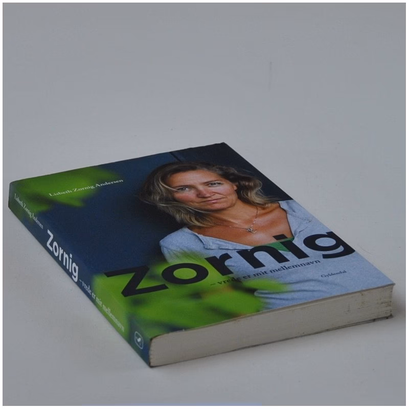 Hvad laver Lisbeth Zornig i dag?