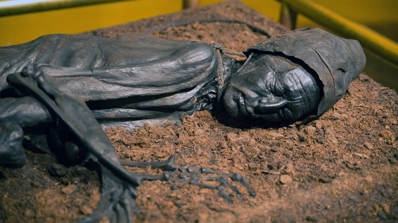 Why do bog bodies not decompose?